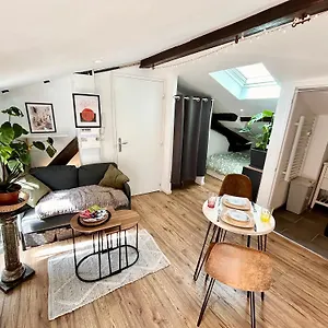 Appartement Loft Hortensia Climatise Hyper Centre Castres, Castres (Tarn)
